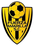 Fuerza Amarilla