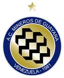 Mineros de Guayana